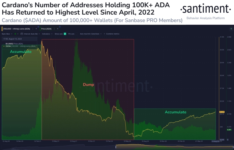 Большинство инвесторов Cardano несет потери из-за падения альткоина