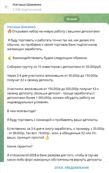 Что известно про ТГ-канал Наташи Шакинко, обзор проекта, отзывы