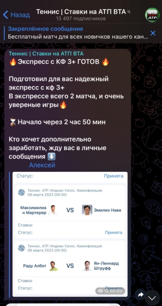Обзор телеграм-канала Теннис | Ставки на АТП ВТА, отзывы о каппере