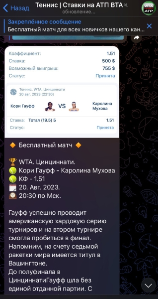 Обзор телеграм-канала Теннис | Ставки на АТП ВТА, отзывы о каппере