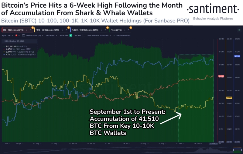 CryptoQuant: Объем биткоинов на биржах находится на минимуме с 2018 года