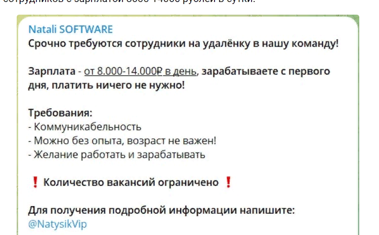 Natali SOFTWARE — честный обзор, отзывы