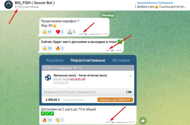 BIG_FISH (Soccer Bot) — бот с прогнозами на футбол, отзывы