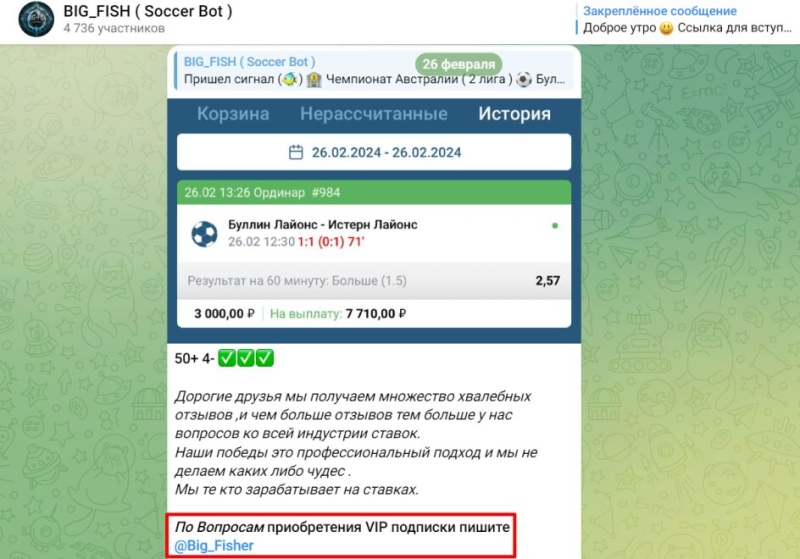 BIG_FISH (Soccer Bot) — бот с прогнозами на футбол, отзывы