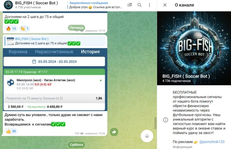 BIG_FISH (Soccer Bot) — бот с прогнозами на футбол, отзывы