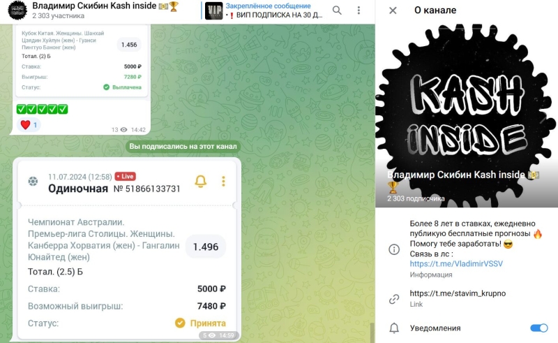 Владимир Скибин Kash inside — прогнозы в Телеграмм, отзывы