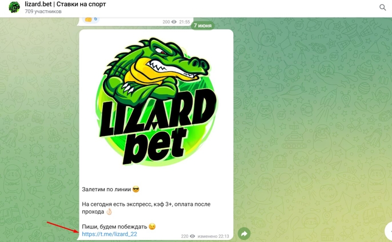 Lizard bet | Ставки на спорт — прогнозы на теннис: обзор телеграм-канала, отзывы