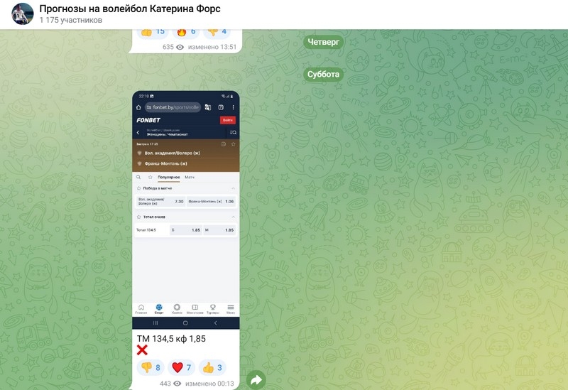 Прогнозы на волейбол Катерина Форс — ТГ канал, обзор, отзывы