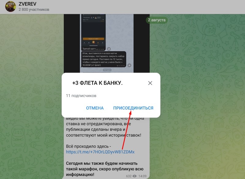 ZVEREV — ставки на спорт в Телеграмм, честные отзывы